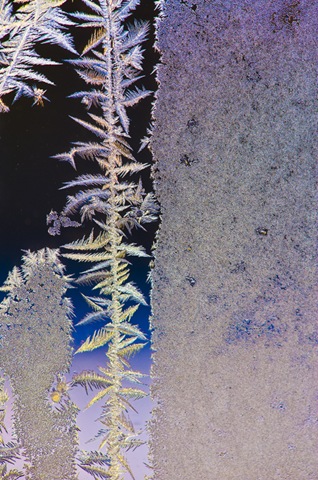 Hoar Frost Abstraction